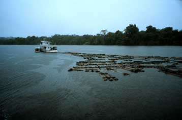 Ο Αμαζόνιος κλέβει από το Νείλο τον τίτλο του μακρύτερου ποταμού του κόσμου