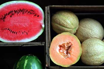 Αποδοτικότερο βιοκαύσιμο παράγεται από σάκχαρα φρούτων