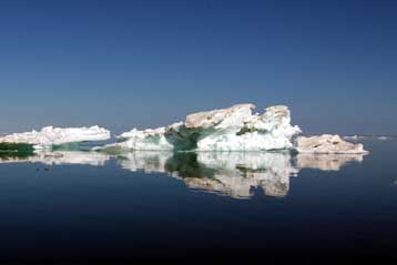 Τα παγόβουνα δημιουργούν οάσεις στο Νότιο Ωκεανό