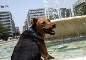 Τρεις νεκροί από θερμοπληξία εξαιτίας του καύσωνα
