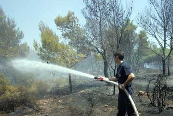 Πυρκαγιά σε δασική έκταση κοντά στην πόλη της Θήβας