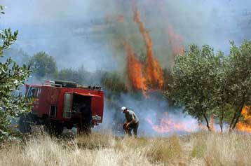 Υπό πλήρη έλεγχο η πυρκαγιά στο νομό Ηλείας