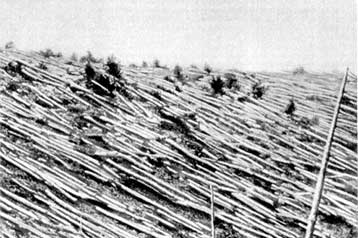 Βρέθηκε πιθανώς ο κρατήρας από την πρόσκρουση της Τουνγκούσκα