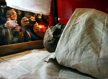 Στη Χατσεψούτ ανήκει η μούμια που βρέθηκε στην Κοιλάδα των Βασιλέων