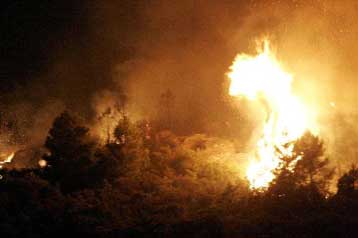 Καίει την Πάρνηθα και απειλεί την Αυλίδα η πύρινη λαίλαπα – Νεκροί στην Αγιά Λάρισας