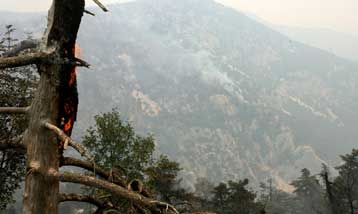 Στη Βουλή μεταφέρεται η πολιτική αντιπαράθεση για τις καταστροφικές πυρκαγιές