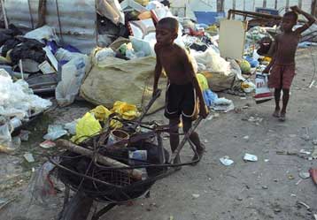 Απελευθέρωση 1.100 ανθρώπων στη Βραζιλία από φυτεία ζαχαροκάλαμου