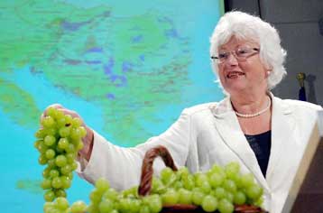 Σε μείωση της παραγωγής κρασιού οδηγείται η ΕΕ