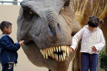 Κινέζοι χωρικοί έτρωγαν… δεινοσαυρόσουπα