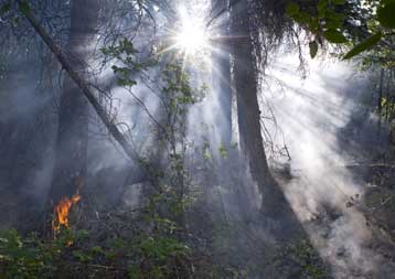 Εκκένωση ξενοδοχείων στην Αλικαρνασσό λόγω μεγάλης πυρκαγιάς