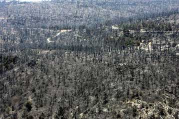 Εικόνες εγκατάλειψης στους περισσότερους εθνικούς δρυμούς της χώρας