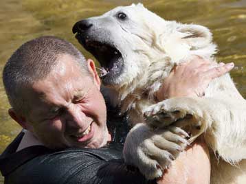 Αποχωρίστηκε τον θετό του πατέρα το πολικό αρκουδάκι Κνουτ