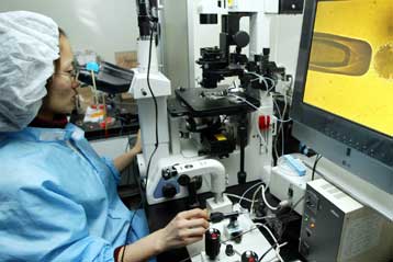 Εξωσωματική γονιμοποίηση τώρα και χωρίς φαρμακευτική αγωγή