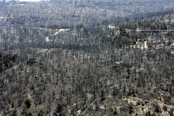 Αναζωπυρώθηκε η πολιτική αντιπαράθεση για την πυρκαγιά της Πάρνηθας