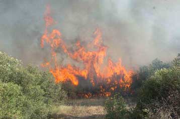 Δεκάδες πύρινα μέτωπα την Κυριακή λόγω των ισχυρών ανέμων