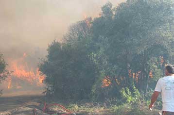 Υπό μερικό έλεγχο το πύρινο μέτωπο στη Σαλαμίνα