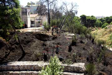 Απείλησε σπίτια η πυρκαγιά στη Σαλαμίνα – Μάχη με τις φλόγες στην Πάτρα