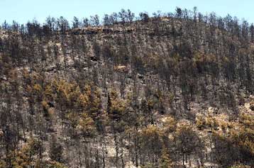 Ικανοποιημένη η κυβέρνηση από την αντίδραση του κράτους στη φωτιά του Υμηττού