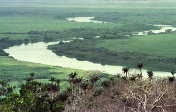Καταγόμαστε όλοι από την Αφρική, επιβεβαιώνει σύγκριση κρανίων