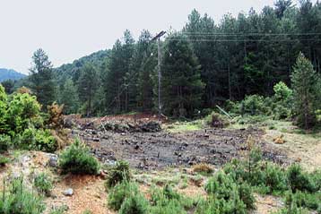 Υπό έλεγχο οι πυρκαγιές στη Βοιωτία, αναζωπύρωση στη Ναύπακτο