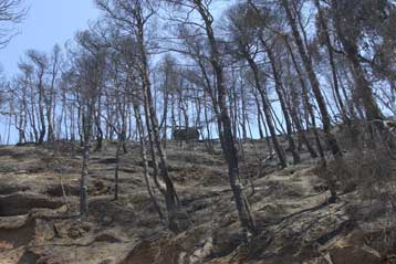 Νέα μέτωπα πυρκαγιών σε πολλά μέρη της χώρας