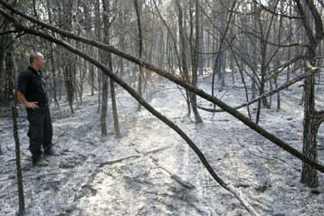 Ανυπολόγιστες καταστροφές από τις πυρκαγιές στην νοτιοανατολική Ευρώπη