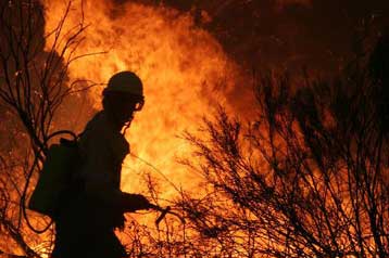 Χιλιάδες στρέμματα δασικής έκτασης καταστράφηκαν μέσα σε 24 ώρες στα Κανάρια Νησιά