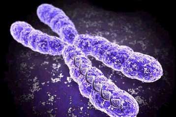 Ελαττωματικά γονίδια προδιαθέτουν για σκλήρυνση κατά πλάκας