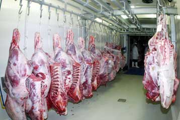 Κατάσχεση 8,5 τόνων κρεάτων από τη νομαρχία Πειραιά