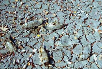 Χωρίς νερό κινδυνεύουν να μείνουν πολλά νησιά των Κυκλάδων