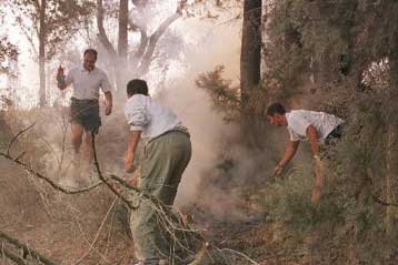 Σε ύφεση ή υπό έλεγχο όλα τα πύρινα μέτωπα της Δευτέρας