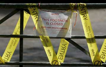 Δεύτερη εστία αφθώδους πυρετού εντοπίστηκε στη Βρετανία