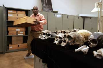 Νεά δεδομένα στις θεωρίες για την εξέλιξη του ανθρώπου φέρνουν ευρήματα