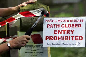 Νέα πιθανή εστία αφθώδους πυρετού εντοπίστηκε στο Σάρεϊ της Βρετανίας