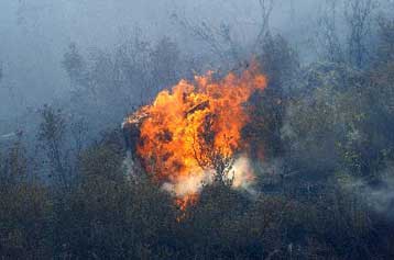 Δύο φωτιές την Κυριακή σε Γρεβενά και Πτολεμαΐδα