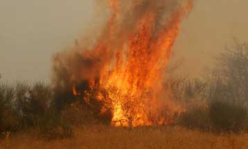 Υπό έλεγχο η φωτιά στην Πτολεμαΐδα, έσβησε αυτή στα Γρεβενά