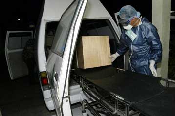 Θάνατος 29χρονης από τη γρίπη των πτηνών στο Μπαλί της Ινδονησίας