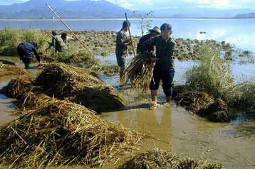 Εκτεταμένες πλημμύρες με εκατοντάδες νεκρούς και αγνοούμενους στη Βόρειο Κορέα