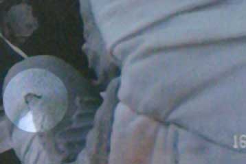 Αβεβαιότητα στη NASA για τον αν θα επιδιορθώσει τη ζημιά στο Endeavour