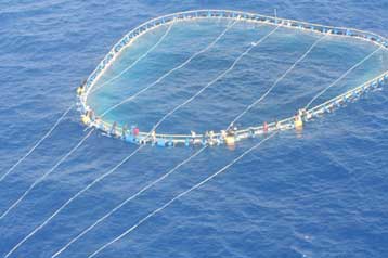 Εκατοντάδες μετανάστες εντοπίστηκαν στη Λαμπεντούσα της Ιταλίας