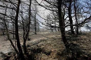 Ποινική δίωξη για εμπρησμό εις βάρος 57χρονου