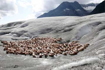 Με οικολογικό μήνυμα η νέα γυμνή σύνθεση του Σπένσερ Τιούνικ στις Αλπεις
