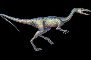 Δεινόσαυροι, τα ταχύτερα δίποδα που έζησαν ποτέ