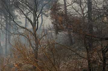 Πυρκαγιά στη Μάνδρα Αττικής, μαίνεται φωτιά στην Καστοριά