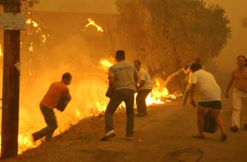 Κόλαση από τις φωτιές στην Πελοπόννησο με 19 νεκρούς