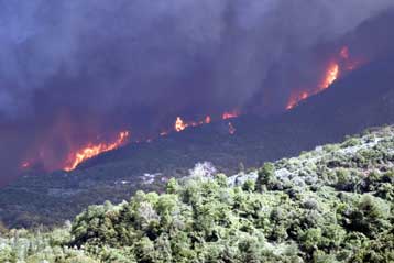 Θλίψη και οργή σε πολιτικό επίπεδο για τα θύματα της πυρκαγιάς στην Πελοπόννησο