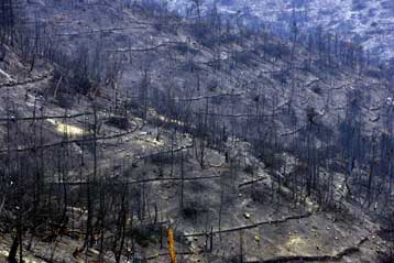 Απαγόρευση κυκλοφορίας σε δασικούς δρόμους για τον φόβο πυρκαγιών