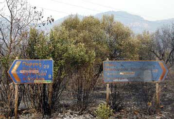 Οι πυρκαγιές ανατρέπουν τα δεδομένα στο πολιτικό σκηνικό εν όψει των εκλογών