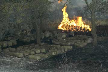 Σε λειτουργία τα μουσεία και ο αρχαιολογικός χώρος της Αρχαίας Ολυμπίας