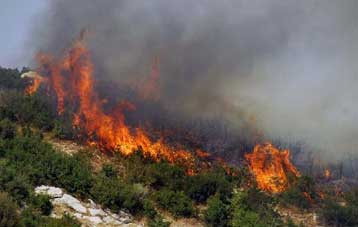 Στις φλόγες παραδόθηκαν σπίτια στο Σαρακίνι Γορτυνίας